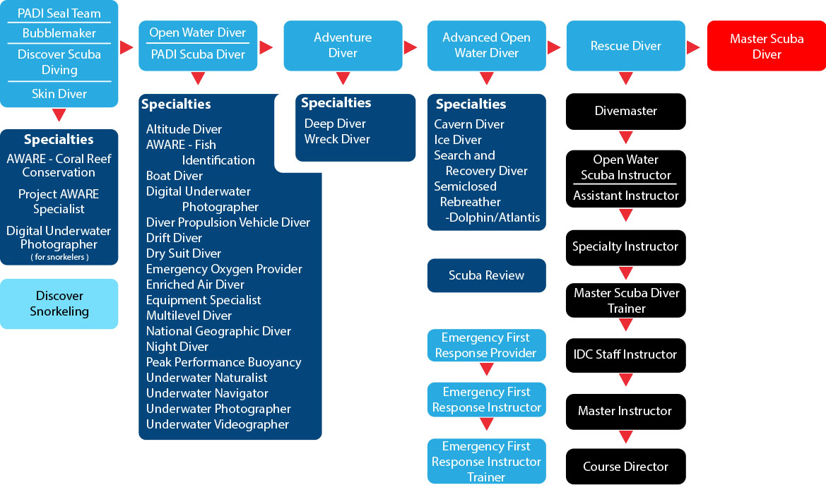 diving education chart