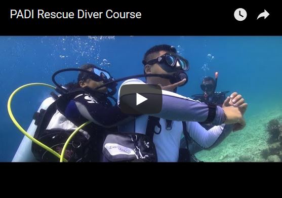rescue diver